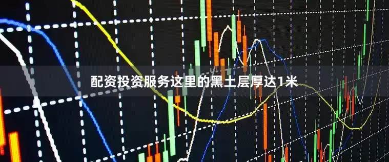 配资投资服务这里的黑土层厚达1米